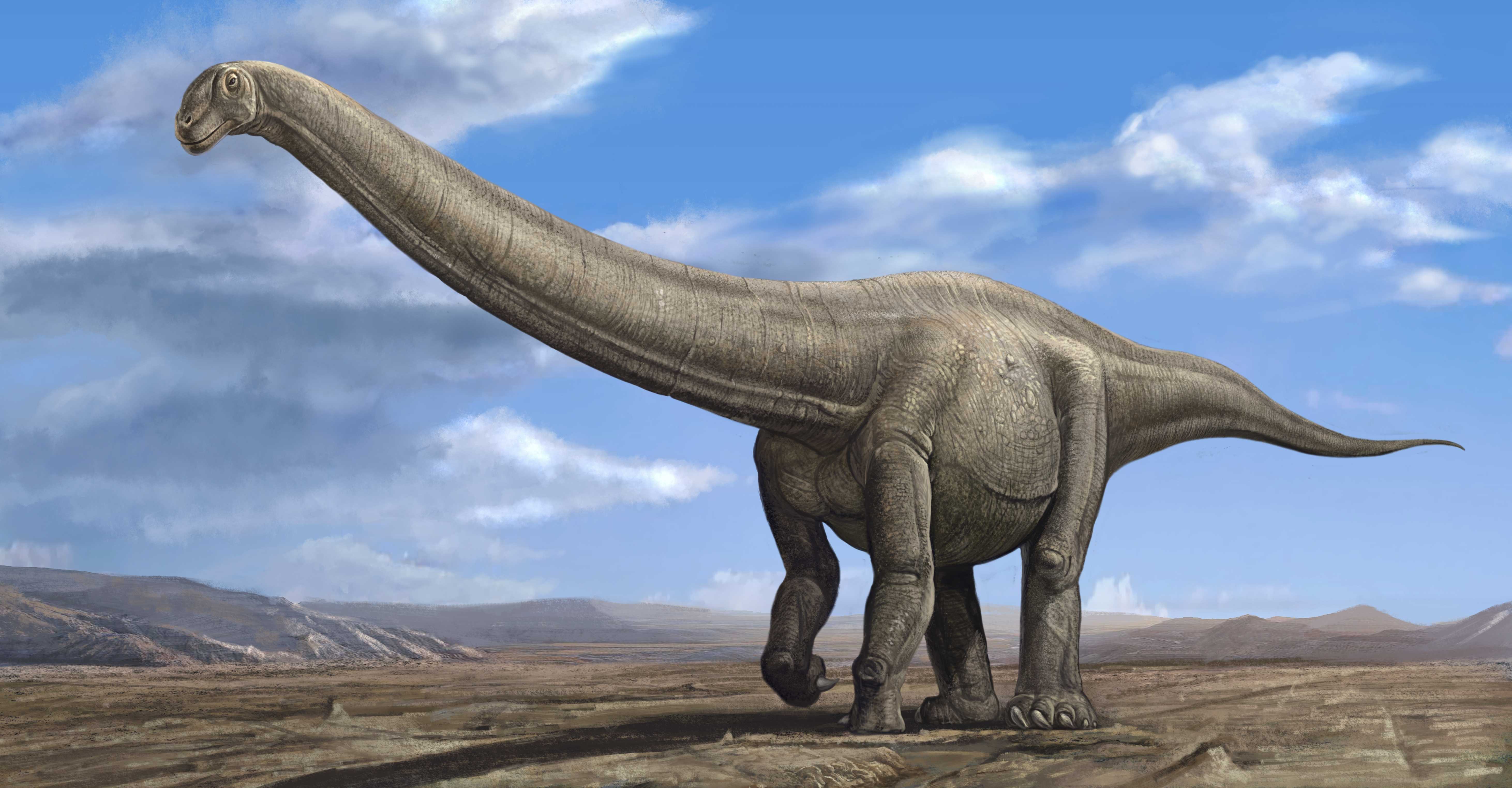 恐龙种类_恐龙品种分类名称大全恐龙品类图片大全
