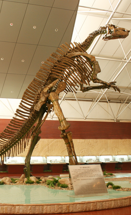 山东诸城恐龙国家地质公园